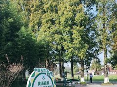 -黄海国家森林公园