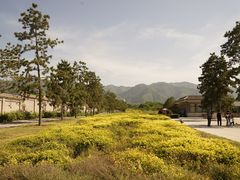 -秦始皇帝陵博物院-丽山园