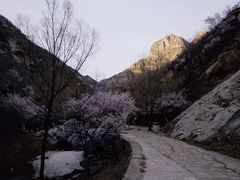 -灵山