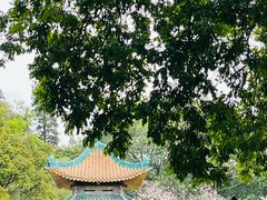-烈士陵园(地铁站)