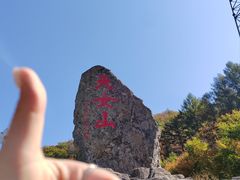 -天女山森林公园