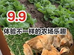 -前小桔亲子创意农场·草莓采摘·露营烧烤