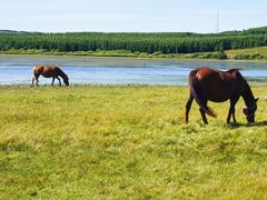 -塞罕坝国家级自然保护区