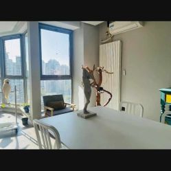 -一个差评成就的纹眉店