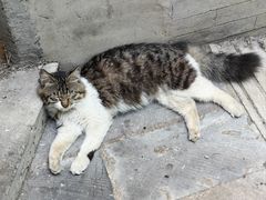 -METAL HANDS(五道营店)