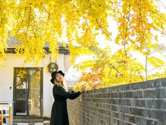 -自如ZSPACE四合院艺术餐厅