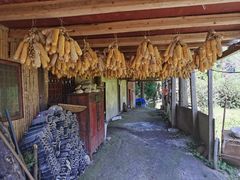 -鹿院坪生态旅游景区