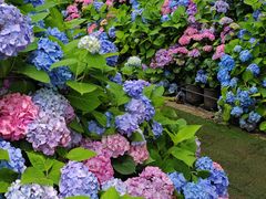 -沈阳植物园