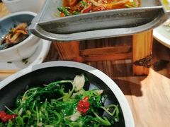 -树厨贵州菜(大十字店)