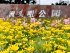 -洲头咀公园
