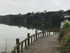 景点-三圣花乡旅游区