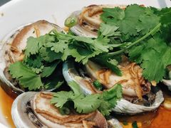 -广东名门