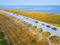 -南汇嘴观海公园