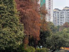 -晓港公园