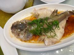 -金华安大酒楼·老牌潮菜·粤式茶点(东方国际店)