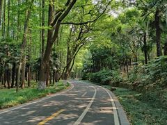 -采石矶景区