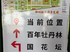 -神州牡丹园