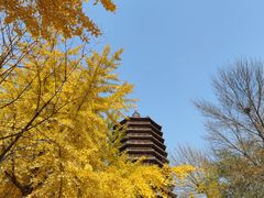 -玲珑塔公园