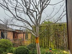 -传统菜农庄(皇姑路店)