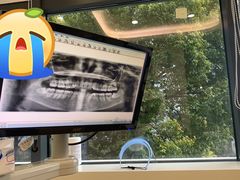 -泰康拜博口腔(世博园乐尔店)