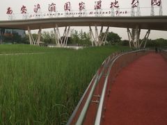 -西安浐灞国家湿地公园