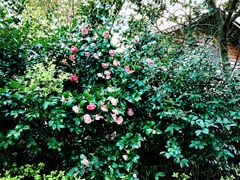 -天目湖涵田半山温泉