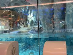 -帝企鹅自助餐厅•儿童岛•真企鹅(长隆企鹅酒店)