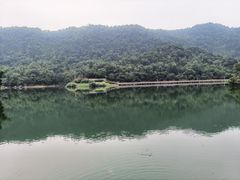 -桃花岭景区
