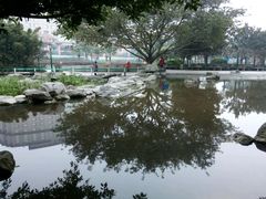 -神仙树公园