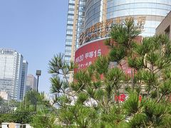 -云海轩·海鲜自助-河北云瑧世纪大饭店1F