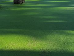 -渌洋湖湿地公园