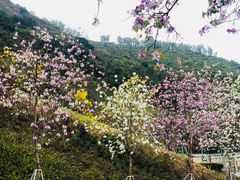 -小南山公园