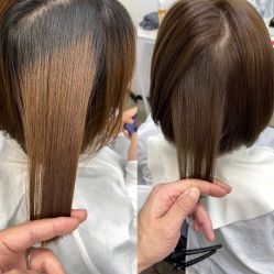 -蚂蚁造型俱乐部