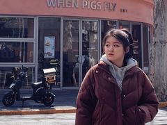 -WHEN PIGS FLY当猪飞