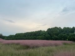 -嘉北郊野公园