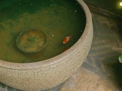 -金谷里艺术馆