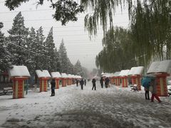 -八大处公园
