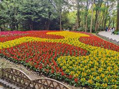 -上海共青森林公园