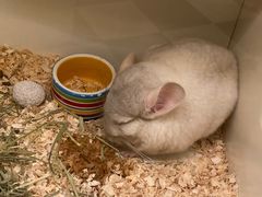 -龙猫仔乐园(惠福东路店)