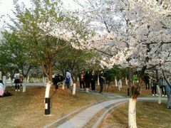 -江南大学(蠡湖校区)