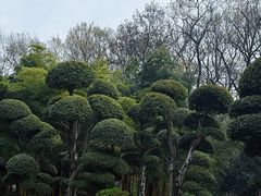 -南京东郊国宾馆