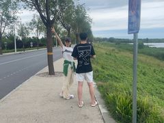 -白洋淀景区