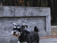 -蜀冈西峰生态公园