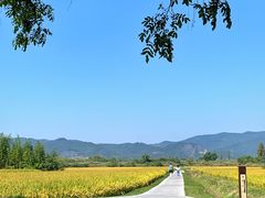 -良渚古城遗址公园