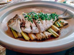东海白鲳鱼-临江宴(陆家嘴店)