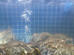 -温州炎亭海鲜阁(万塘路店)