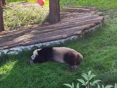 -西安秦岭野生动物园