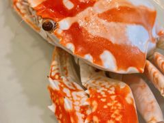 -金鮀岛潮州酒家
