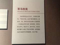 -张掖市博物馆