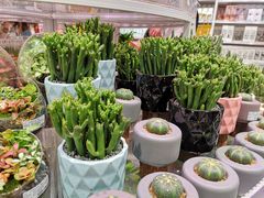 -KKV(深圳kk one 店)